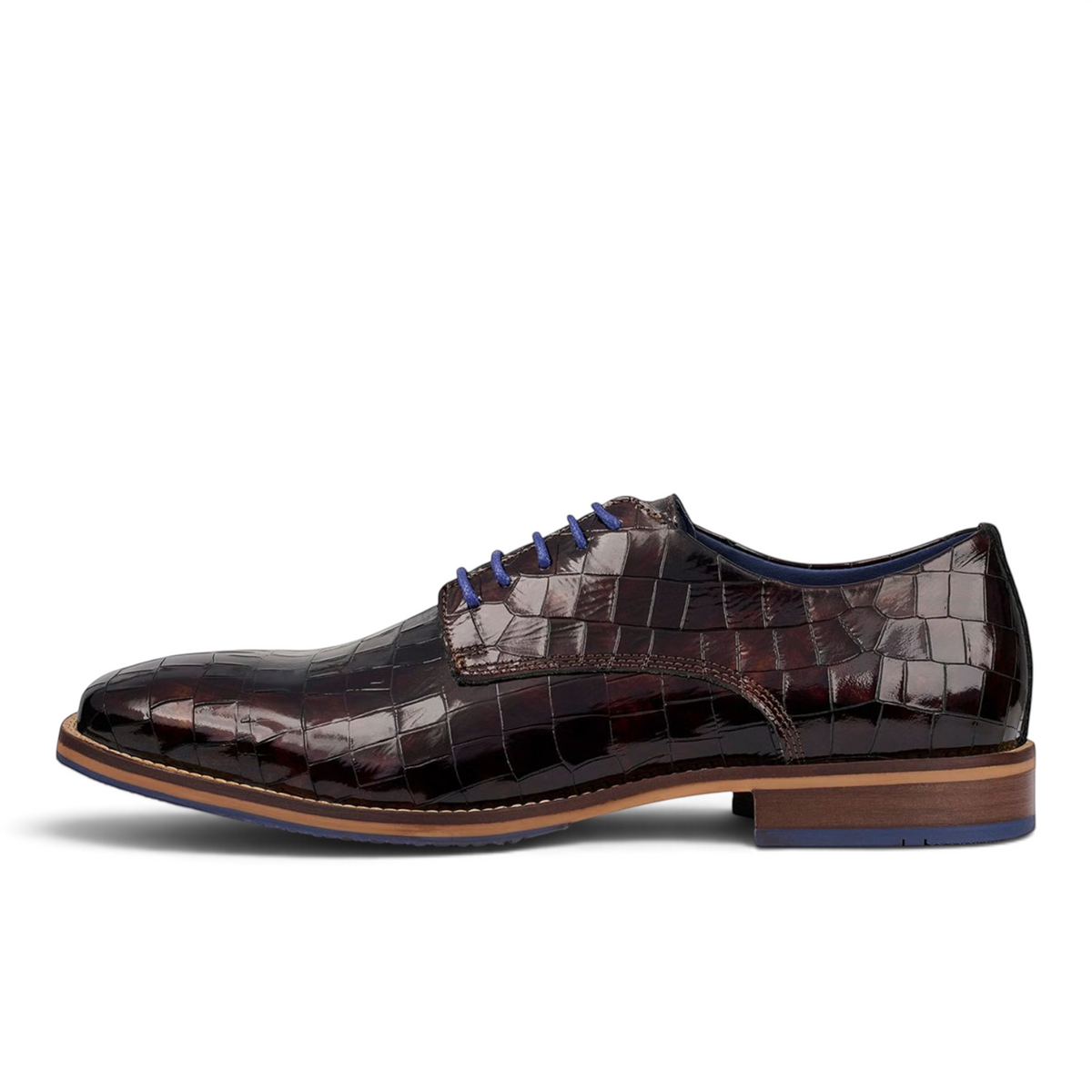 ShoeShop Bullboxer dark brown crocodile-embossed leather dress shoe with blue laces and a stacked heel