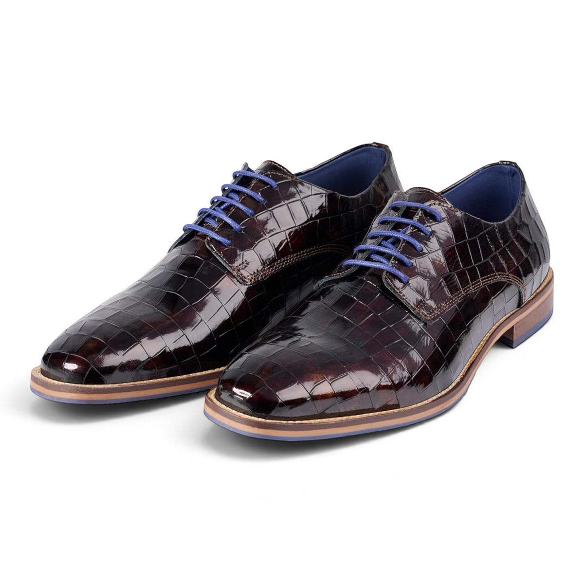 ShoeShop Bullboxer dark brown crocodile-embossed leather dress shoes with contrasting blue laces and blue sole trim.
