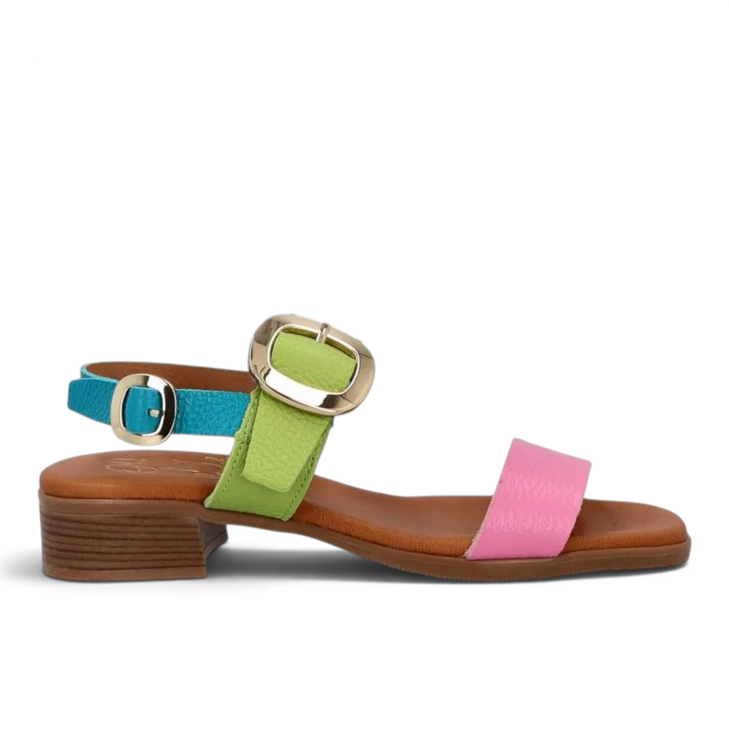 ShoeShop Oh My Sandals 5609 featuring multi-coloured leather straps in pink, lime green, and blue with gold buckles.