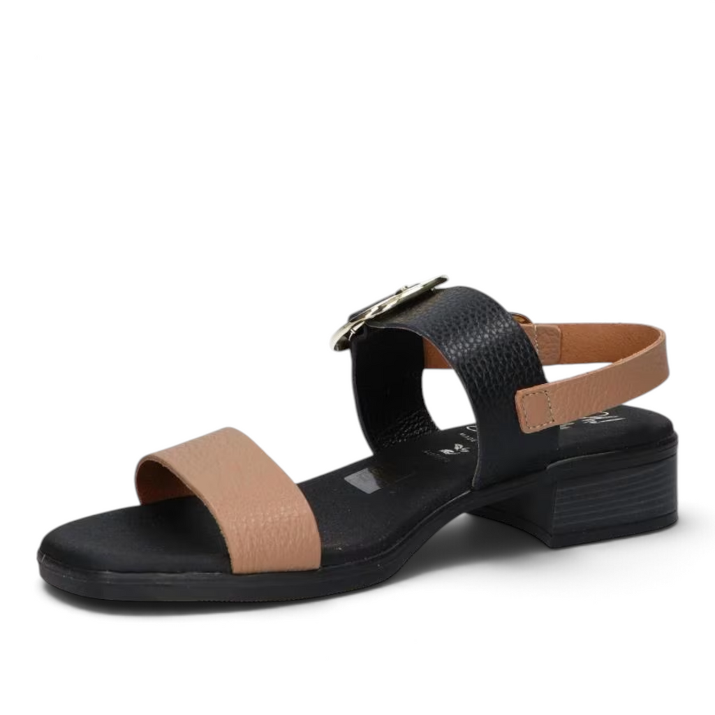 ShoeShop Oh My Sandals 5609 featuring a two-tone black and tan leather design with a low block heel and buckle strap