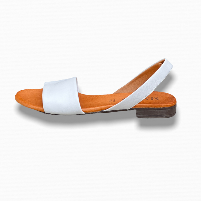 PhotoRoom_000_20220604_124050.PNG