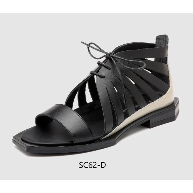 SC62.JPG