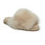 PhotoRoom_20211215_223954 2.PNG